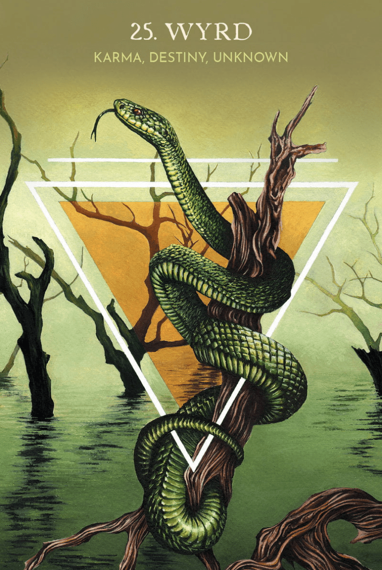 Animal Guide Rune Cards – Agence Schweiger