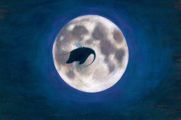 The Elephant’s Dream - Image 2