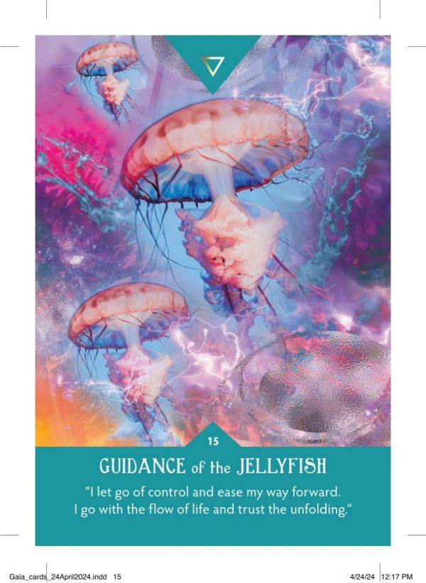 Guidance from Gaia - Image 6