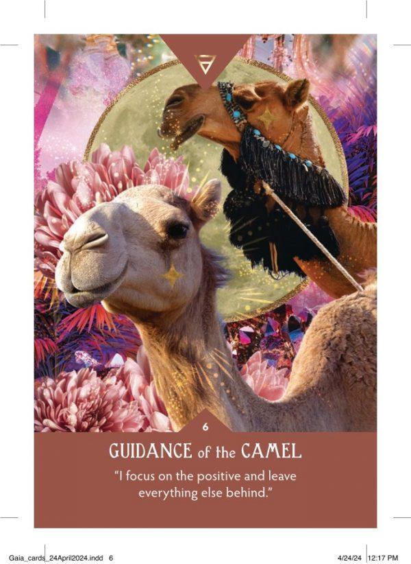 Guidance from Gaia - Image 3