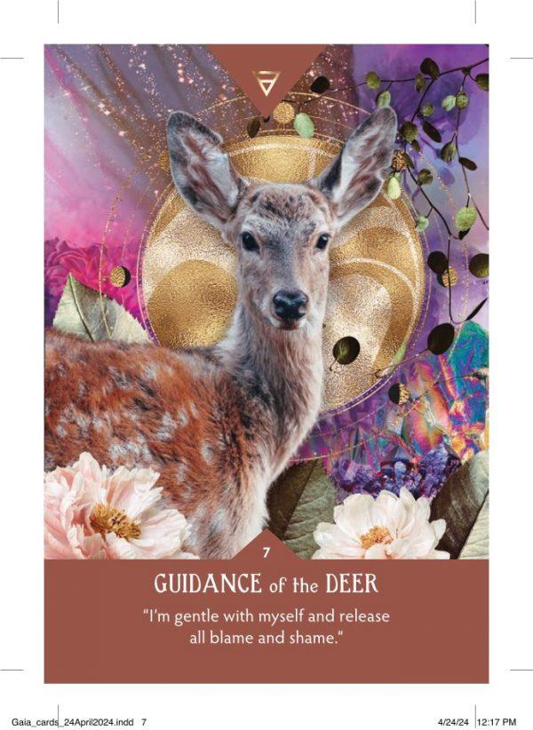 Guidance from Gaia - Image 4