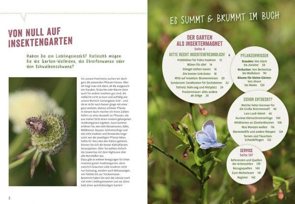 Optimal Plants for Insects - Image 2