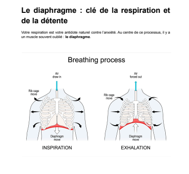 Chair Yoga for Anxiety - Image 4