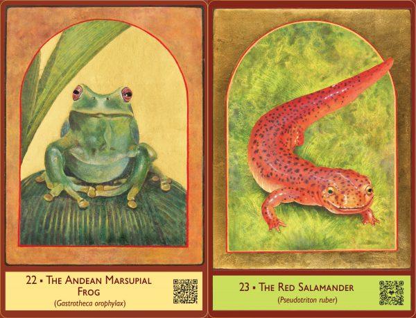 The Sacred Biodiversity Oracle - Image 2