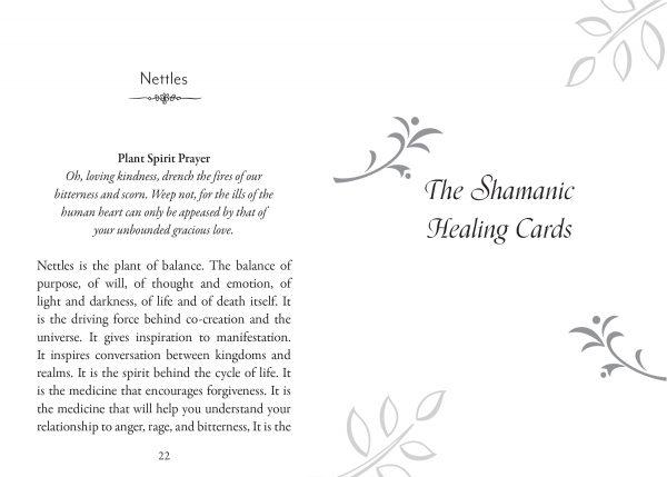 Plant Spirits Oracle - Image 2