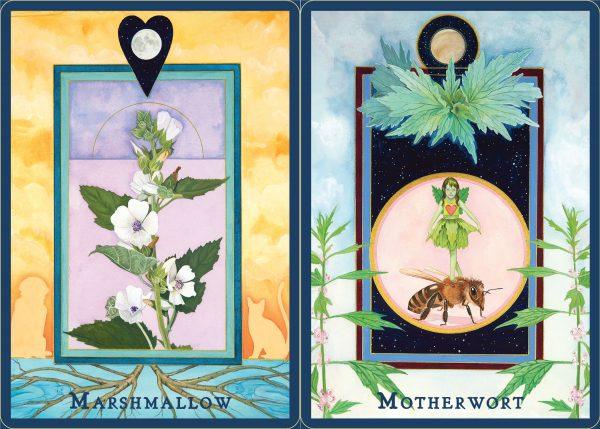 Plant Spirits Oracle - Image 5