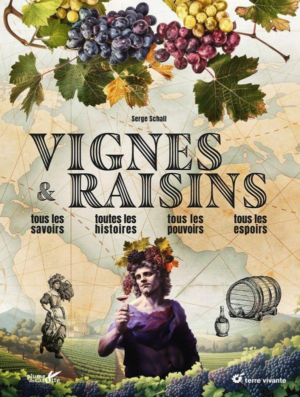 Vines and grapes