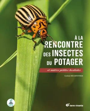 Meet the insects in your vegetable patch