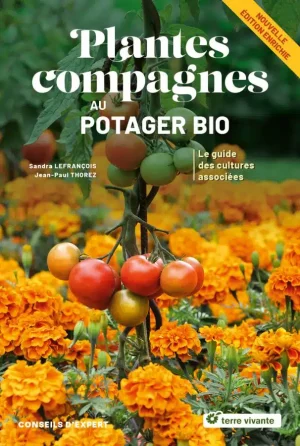 Companion plants in the organic vegetable garden