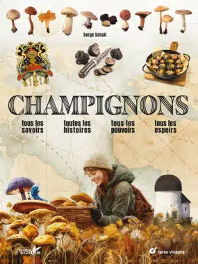 Mushrooms