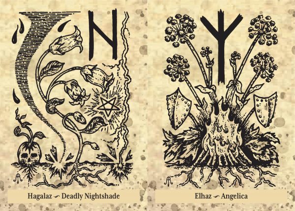 The Runes and  Roots Oracle - Image 4