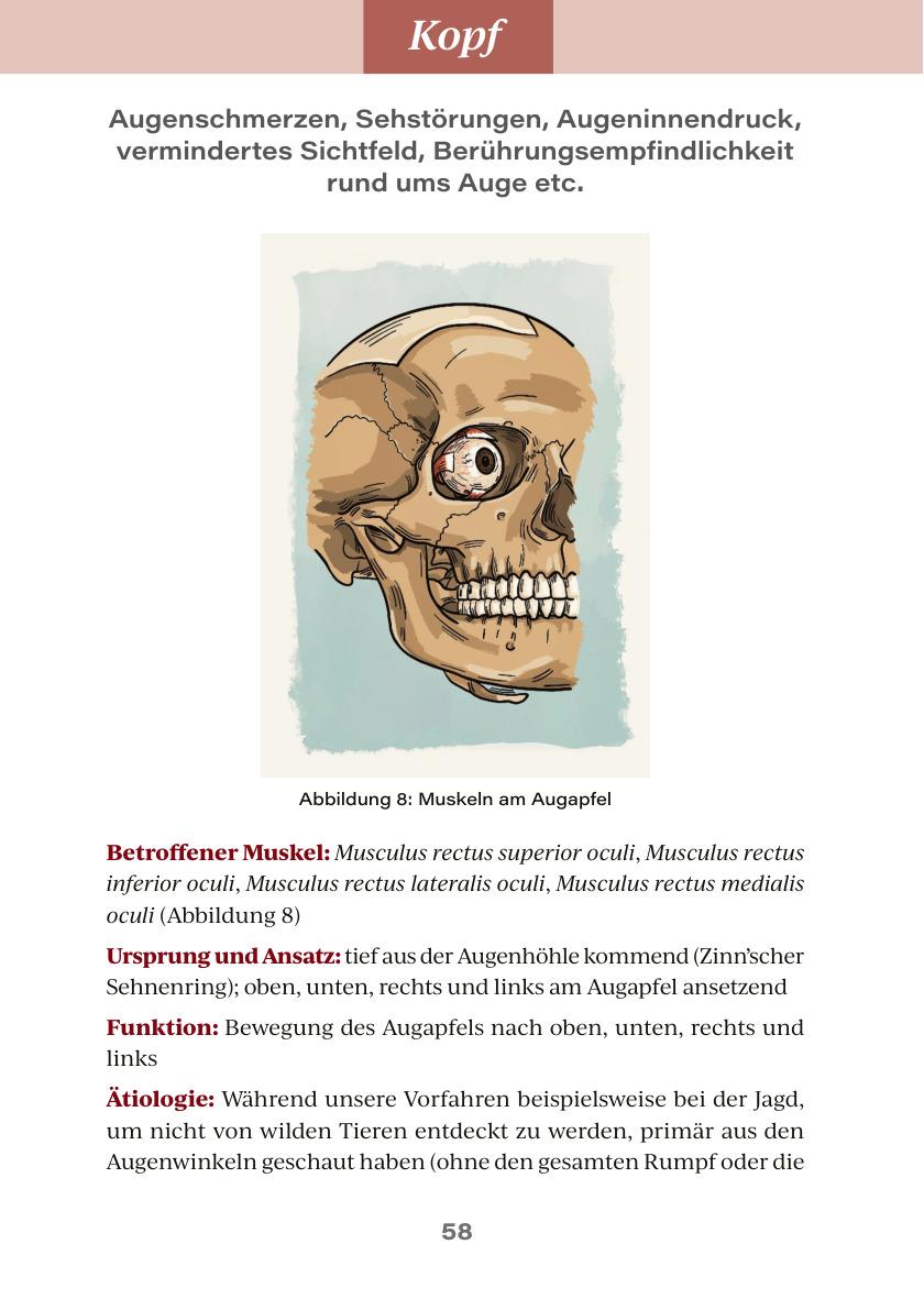 Interior page from A Life Without Pain: anatomy of the eye muscles