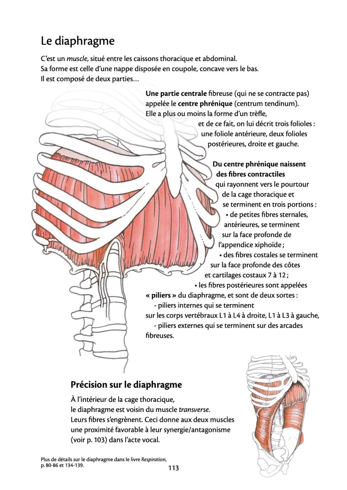 Anatomy of Voice by Blandine Calais-Germain, interior page 1