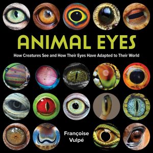 Animal Eyes by Françoise Vulpé