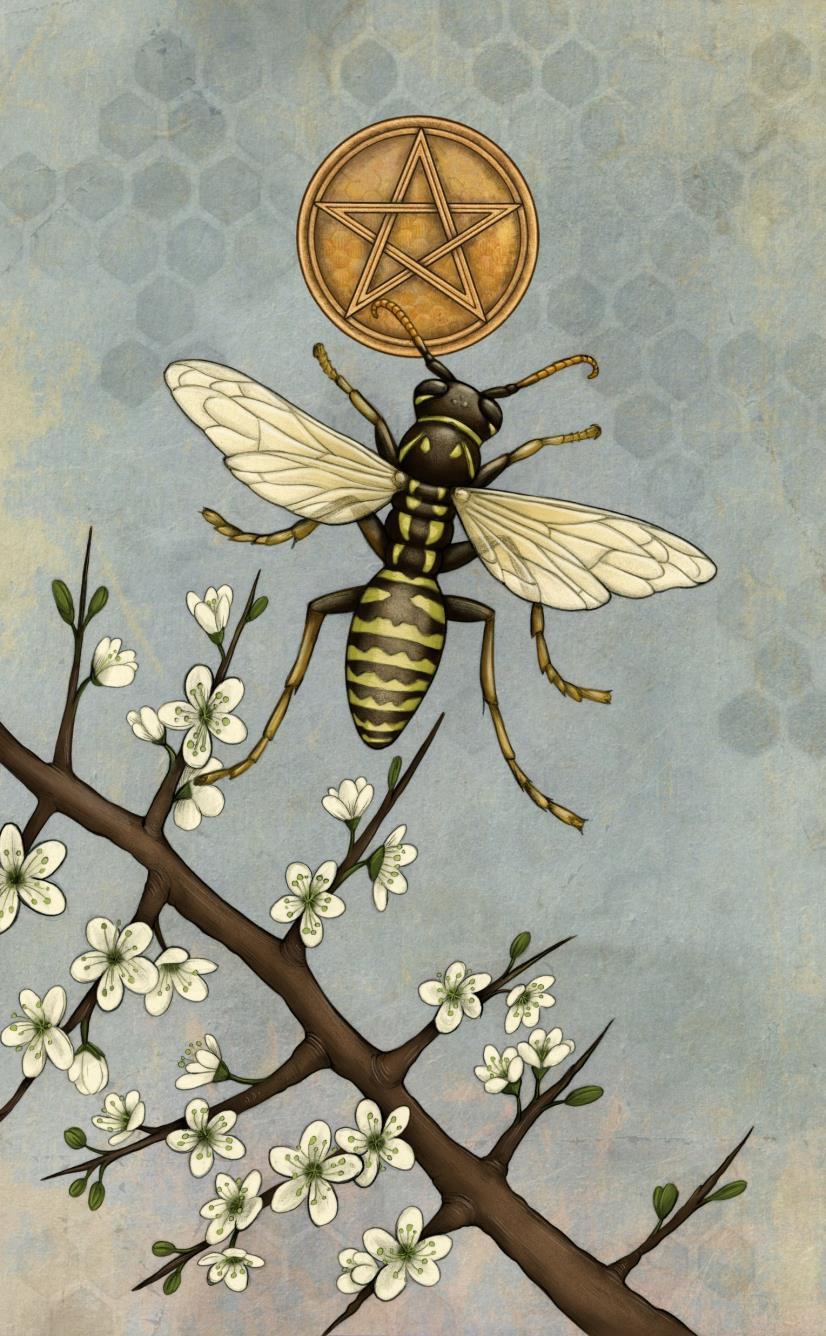 Bee Tarot card illustration 1
