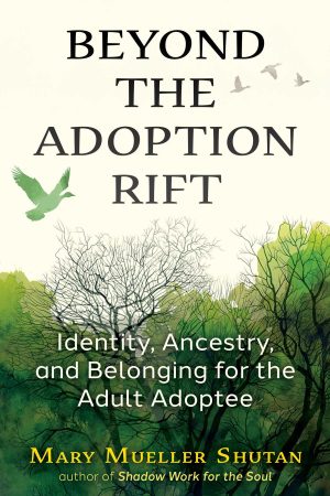 Beyond the Adoption Rift by Mary Mueller Shutan, cover