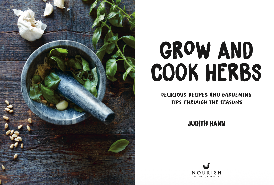 Grow and Cook Herbs - Image 2