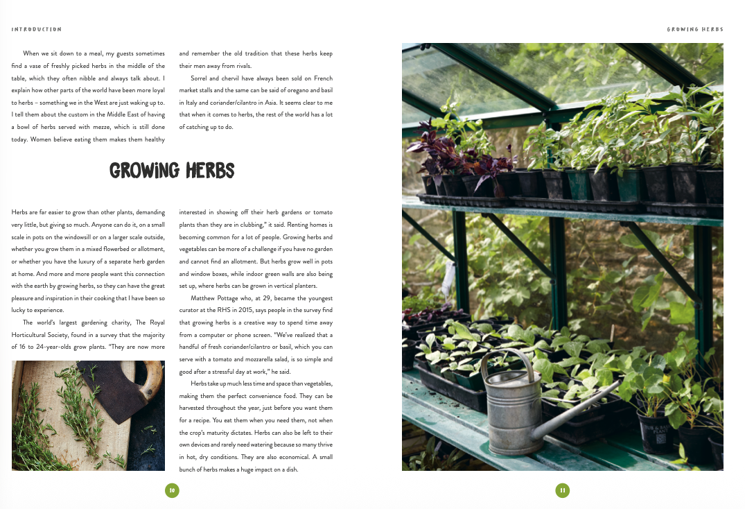 Grow and Cook Herbs - Image 4