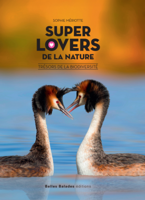Super Lovers in the Nature