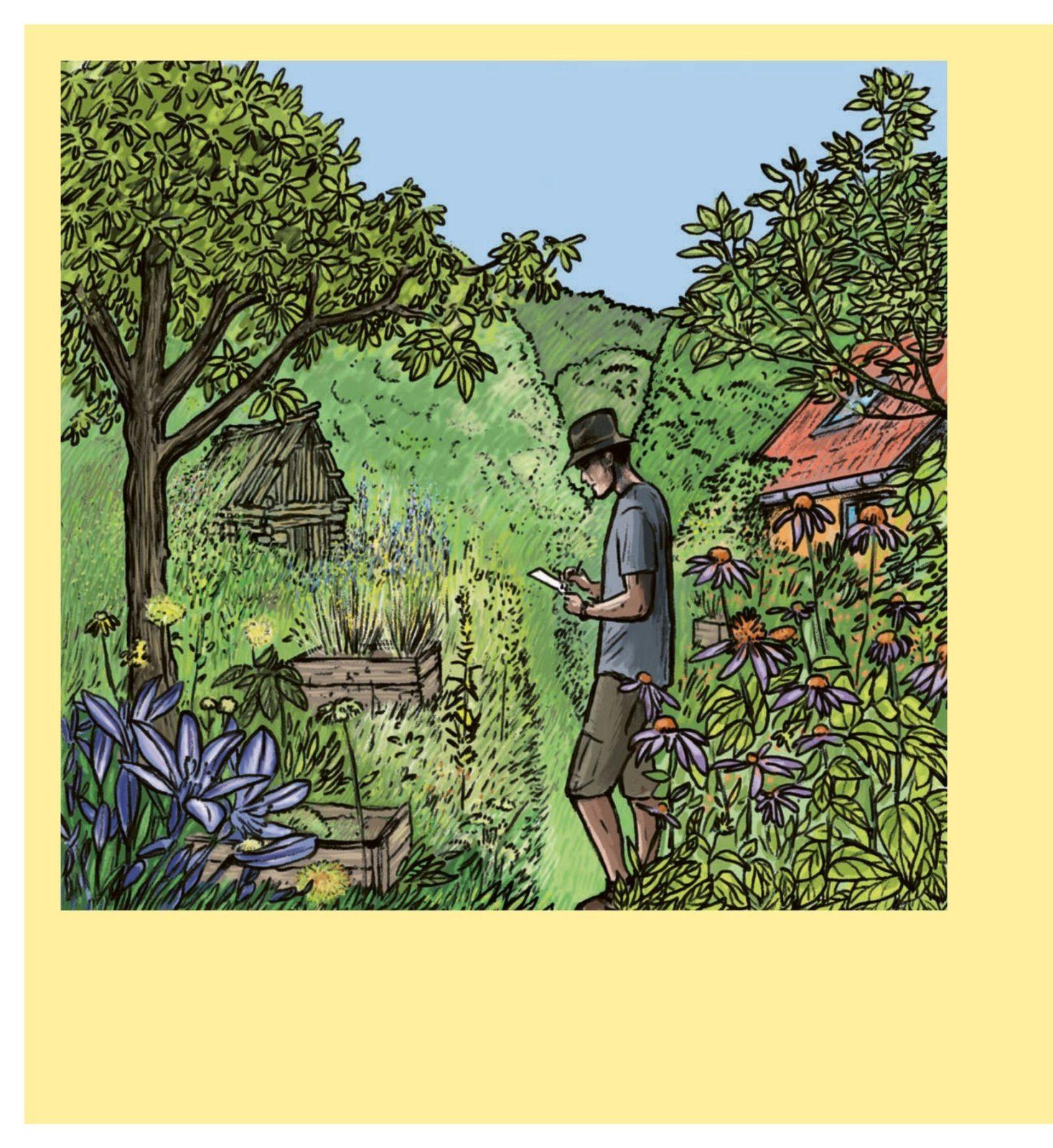 Inside illustration from Design your garden like a pro by Olivier Dekeyser