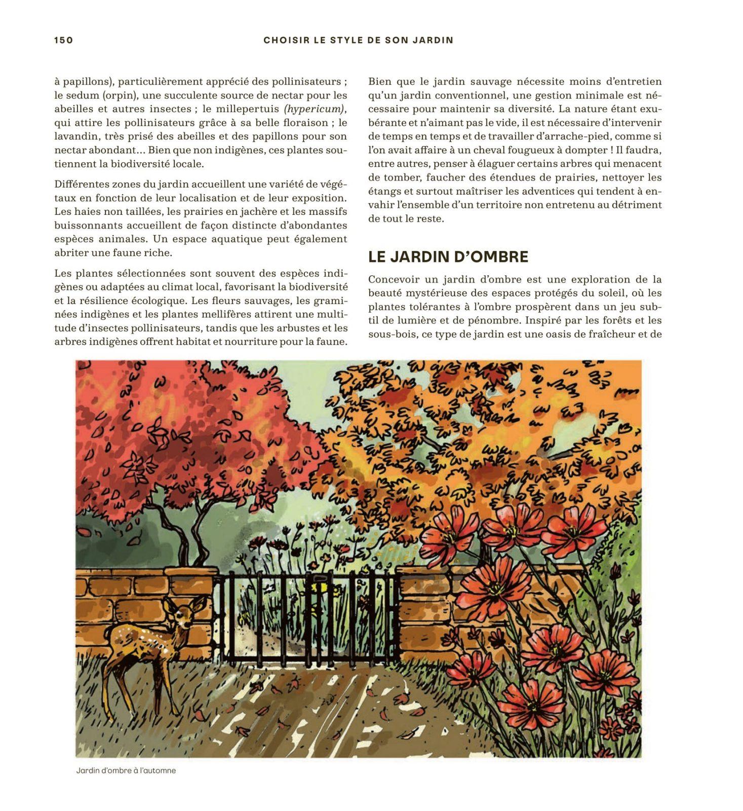 Inside illustration from Design your garden like a pro by Olivier Dekeyser