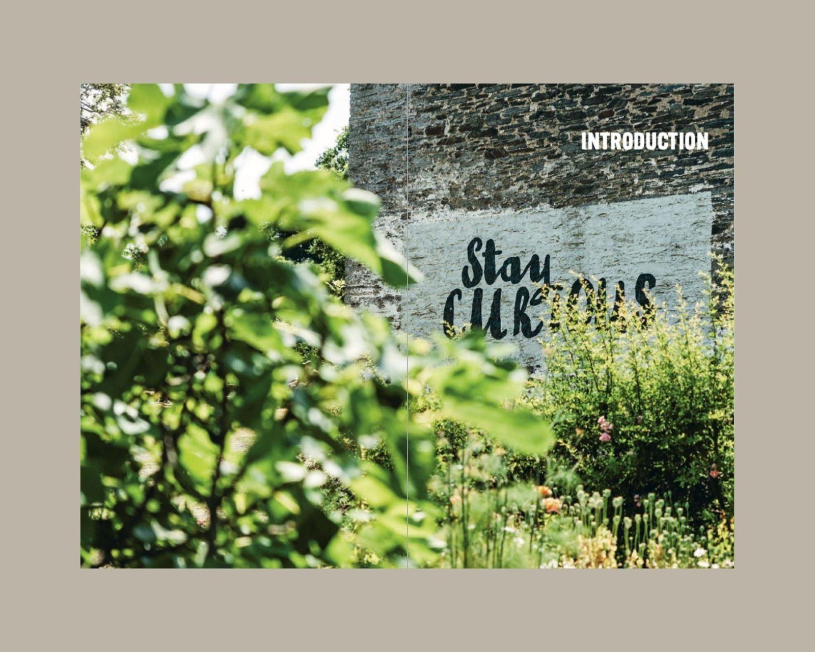 Do Curate interior 1