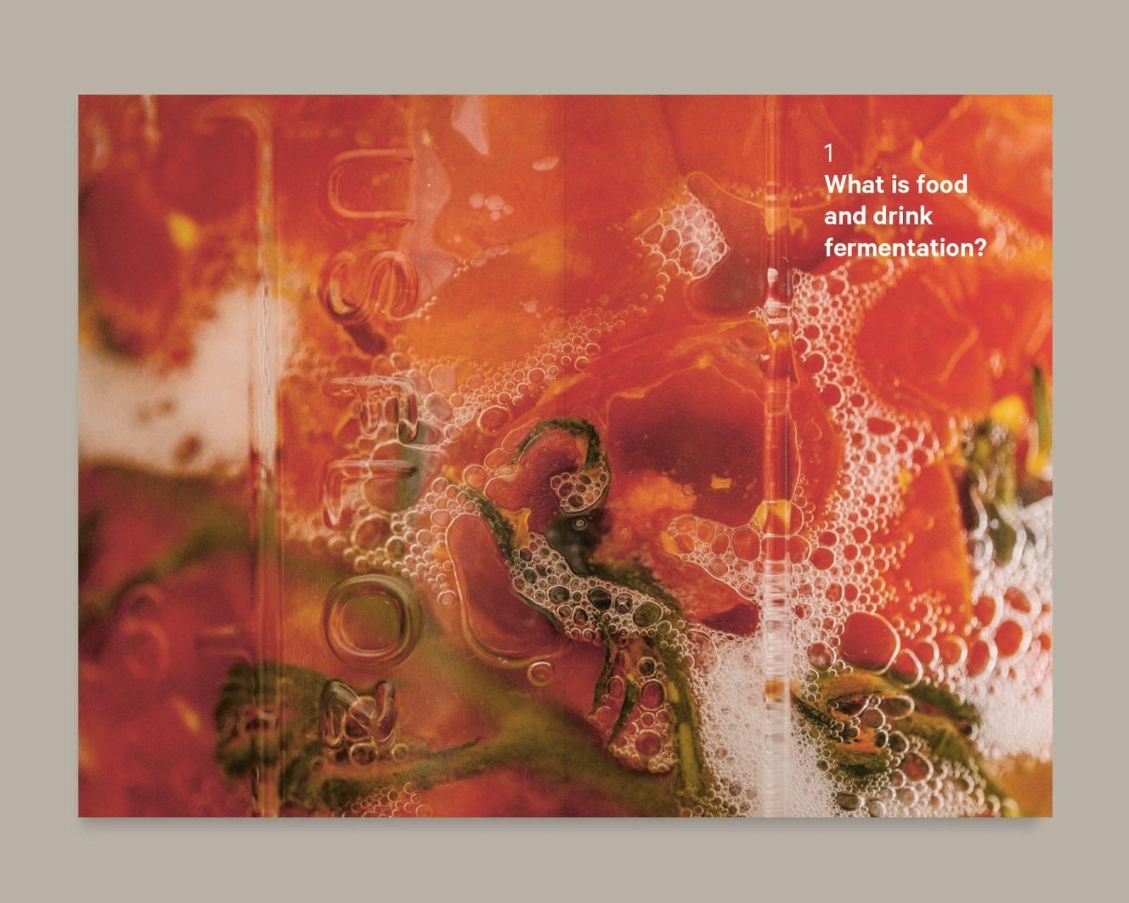 Do Ferment interior 1
