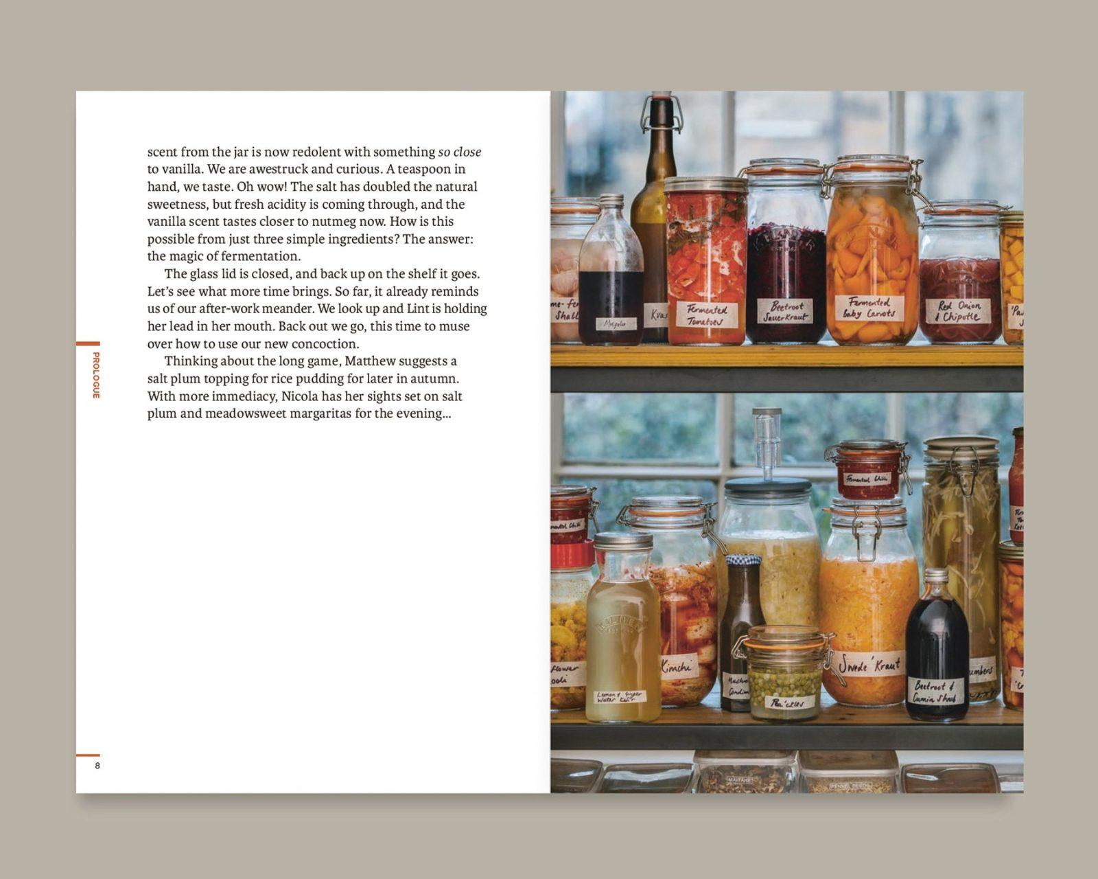 Do Ferment interior 2