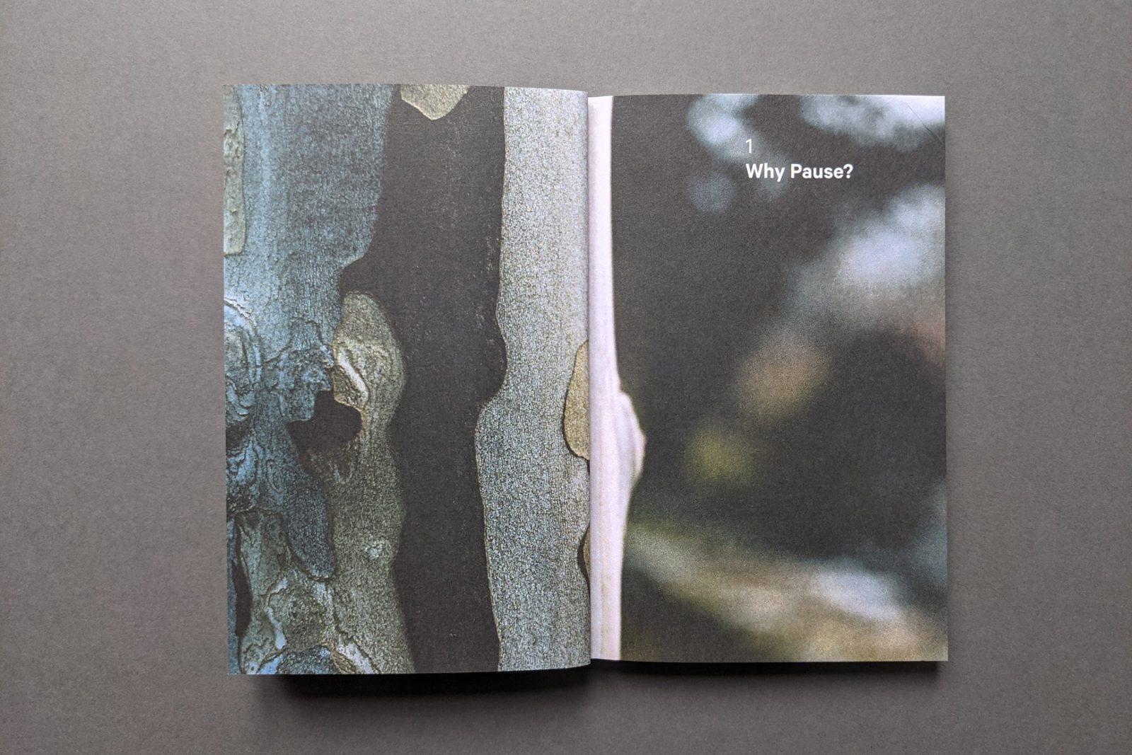Do Pause interior 1