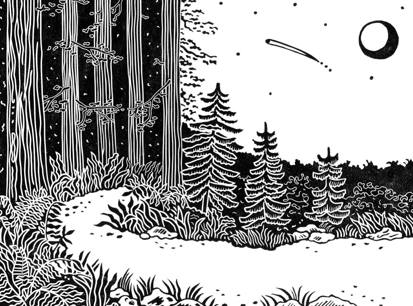 Do Wildness, interior pages