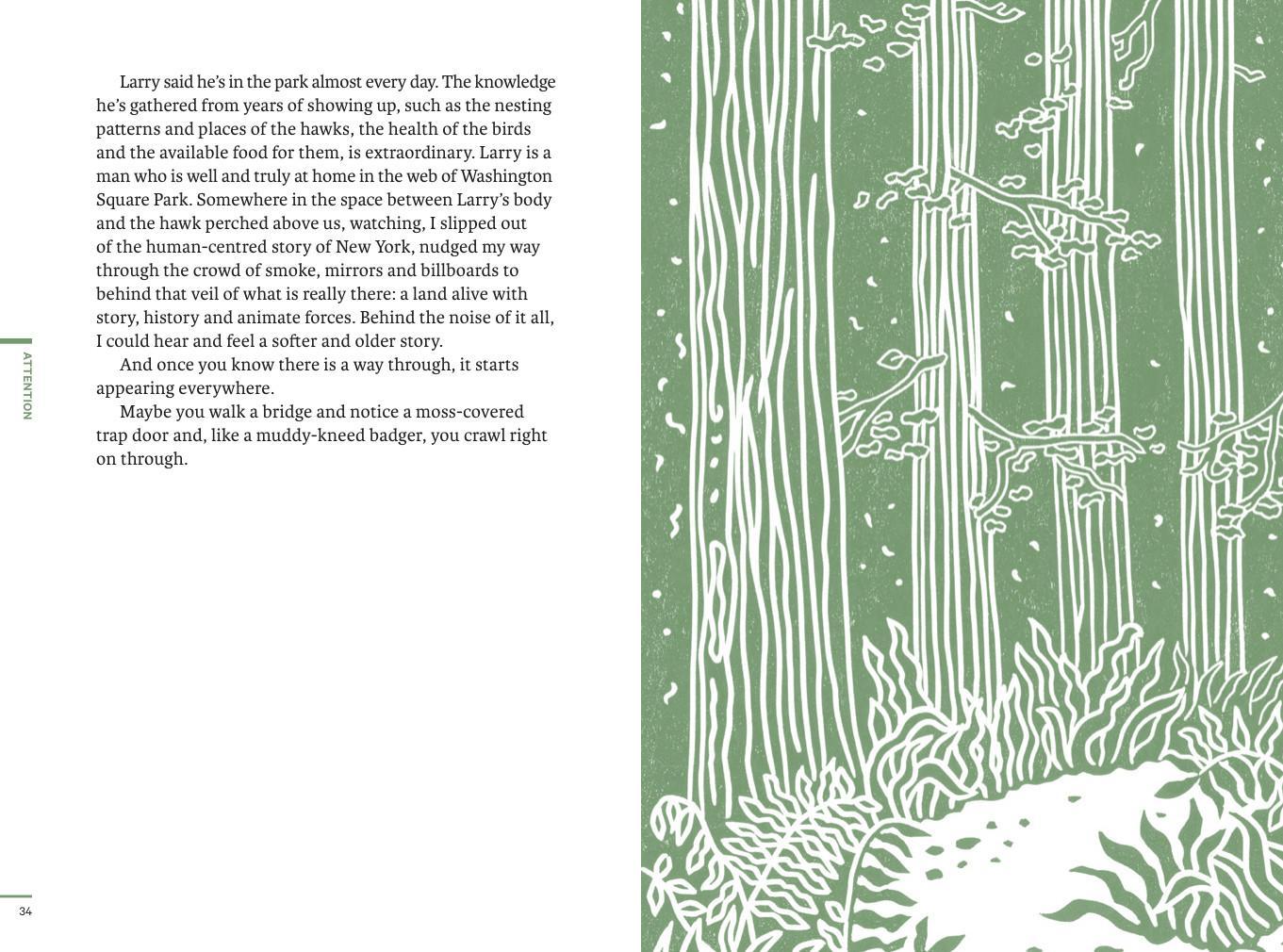 Do Wildness, interior pages