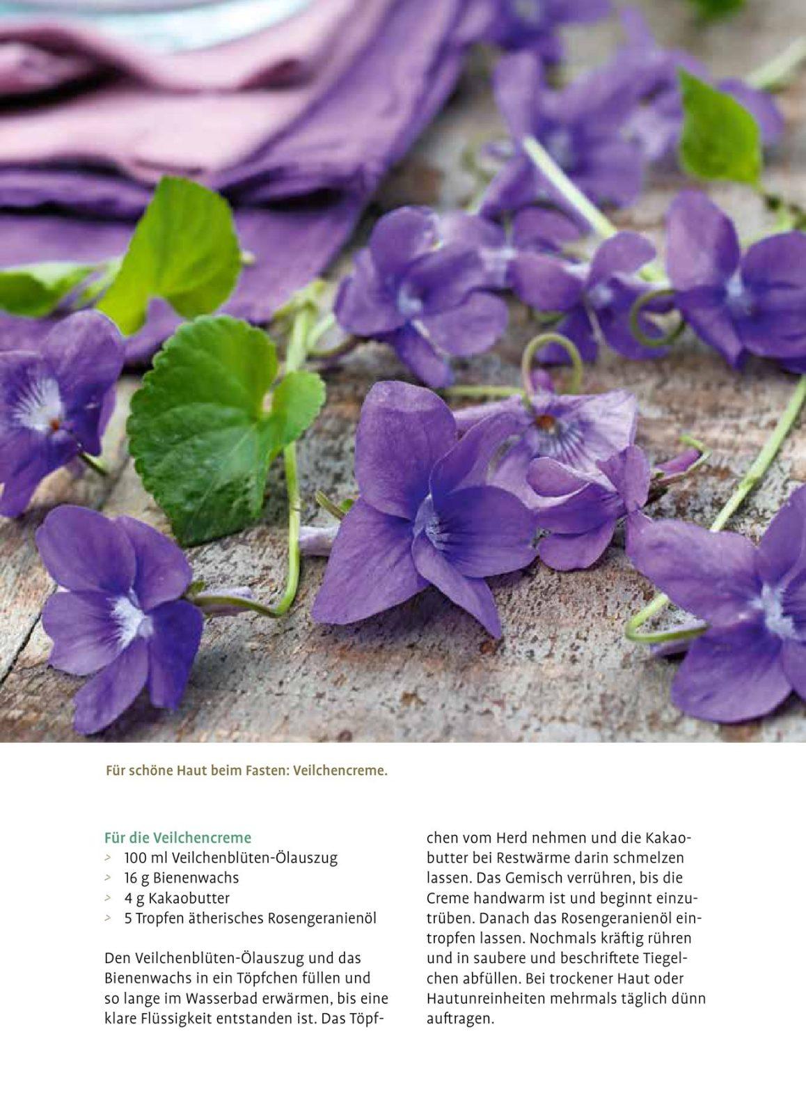 Inside illustration from Easier Fasting with Medicinal Plants by Claudia Ritter