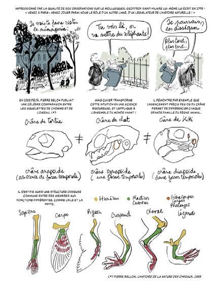 Evolution by Gabrielle Lavoir and Arnaud Pizzuti, sample page 1
