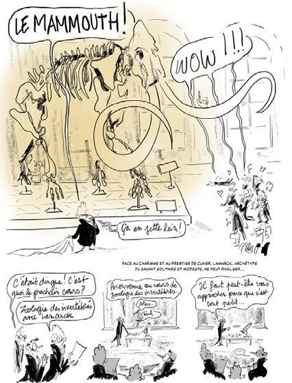 Evolution by Gabrielle Lavoir and Arnaud Pizzuti, the mammoth