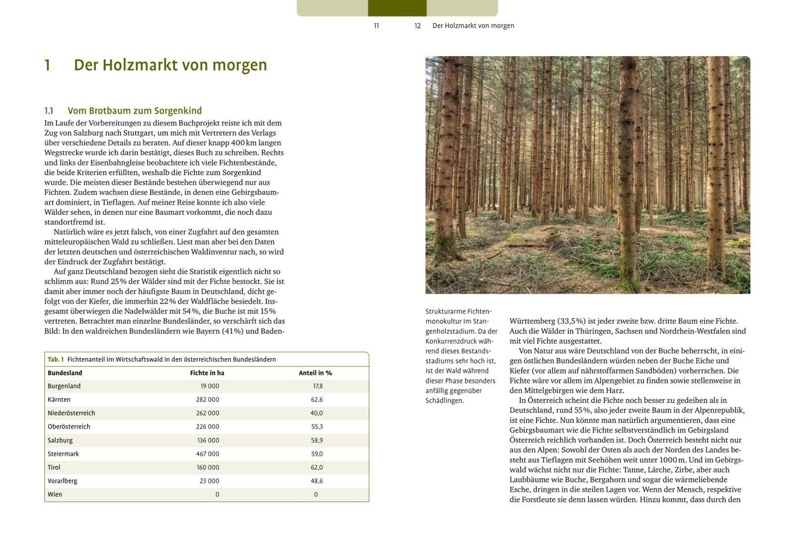 Inside illustration from Forest Conversion by Bernhard Henning