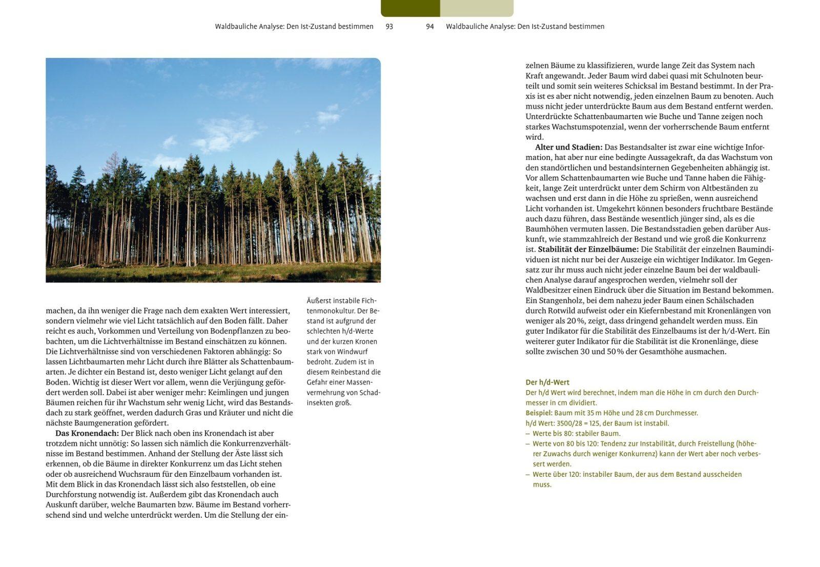 Inside illustration from Forest Conversion by Bernhard Henning