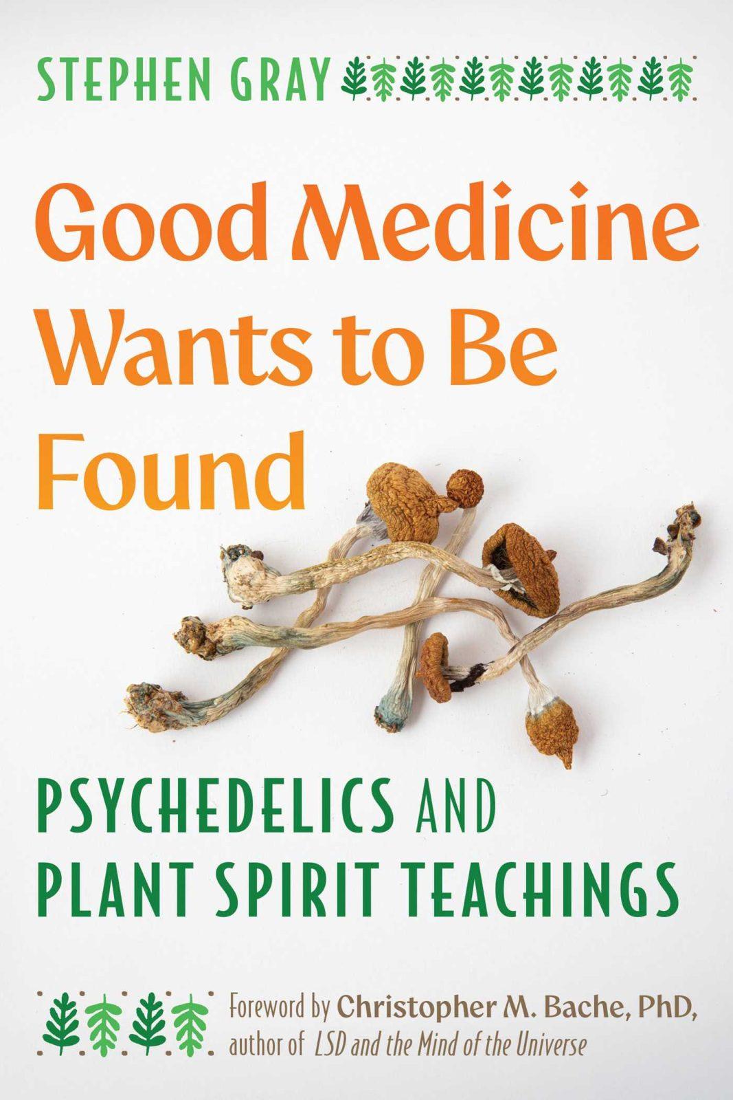 Good Medicine Wants to Be Found by Stephen Gray