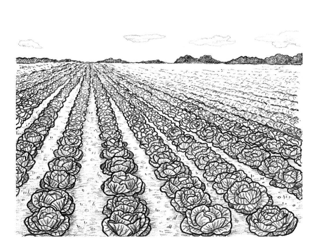 Interior illustration from Little Treatise on Sauerkraut by Pierre-Brice Lebrun