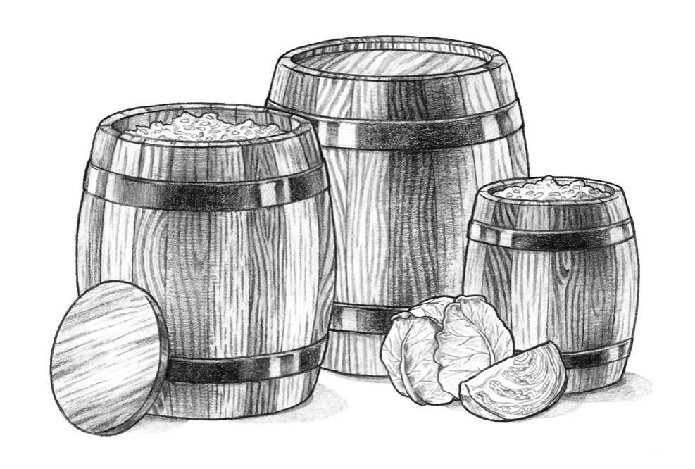 Interior illustration from Little Treatise on Sauerkraut by Pierre-Brice Lebrun