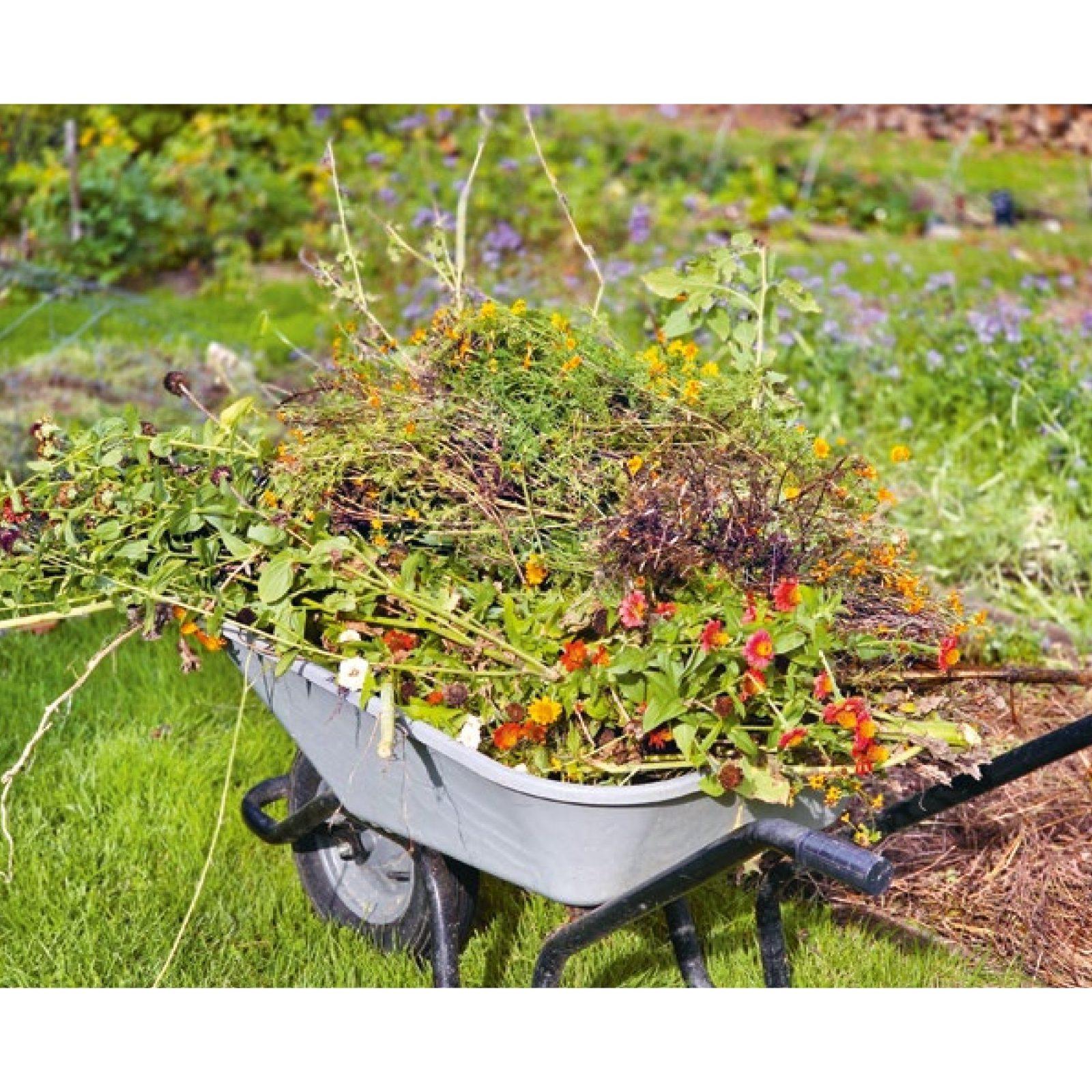 Inside illustration from Making the Most of My Green Waste in the Garden by Denis Pépin