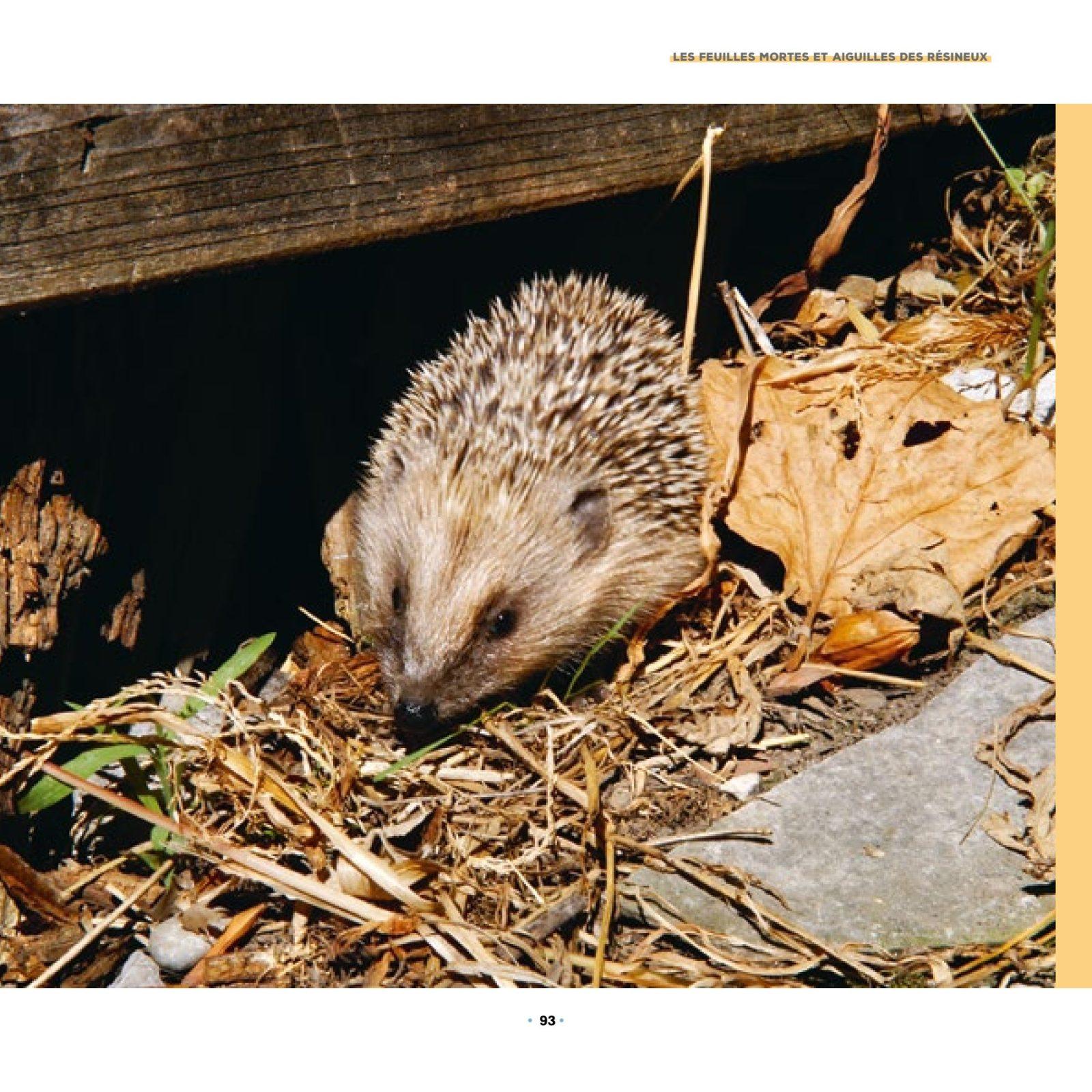 Inside illustration from Making the Most of My Green Waste in the Garden by Denis Pépin