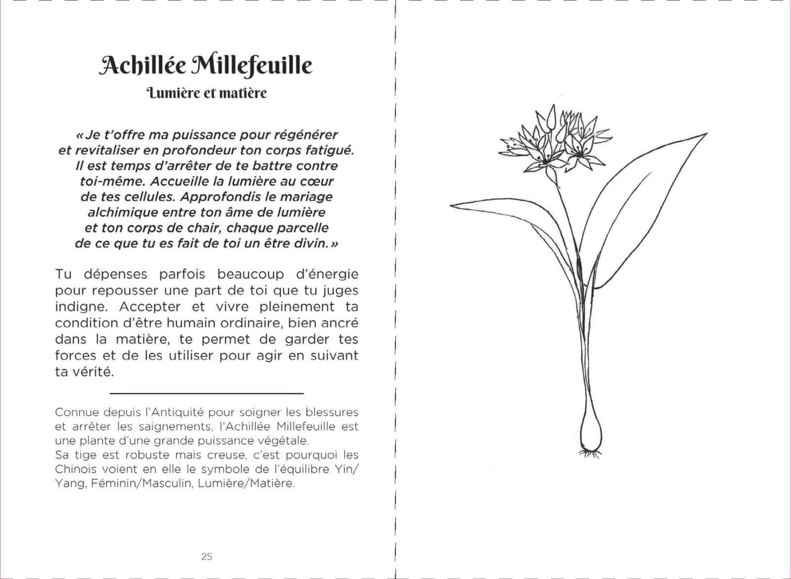 Inside illustration from Messages from wild plants by Laurence Robert