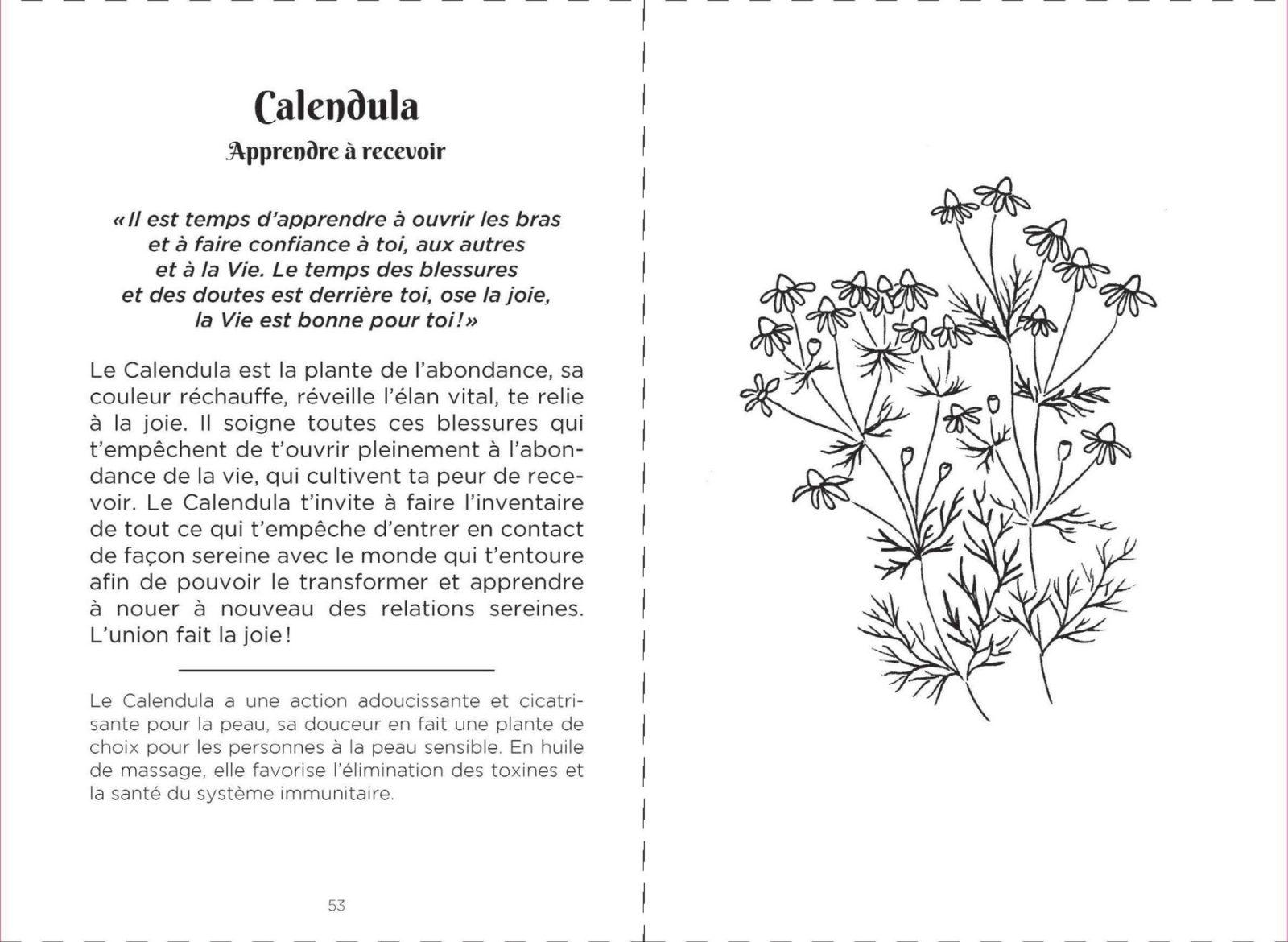 Inside illustration from Messages from wild plants by Laurence Robert