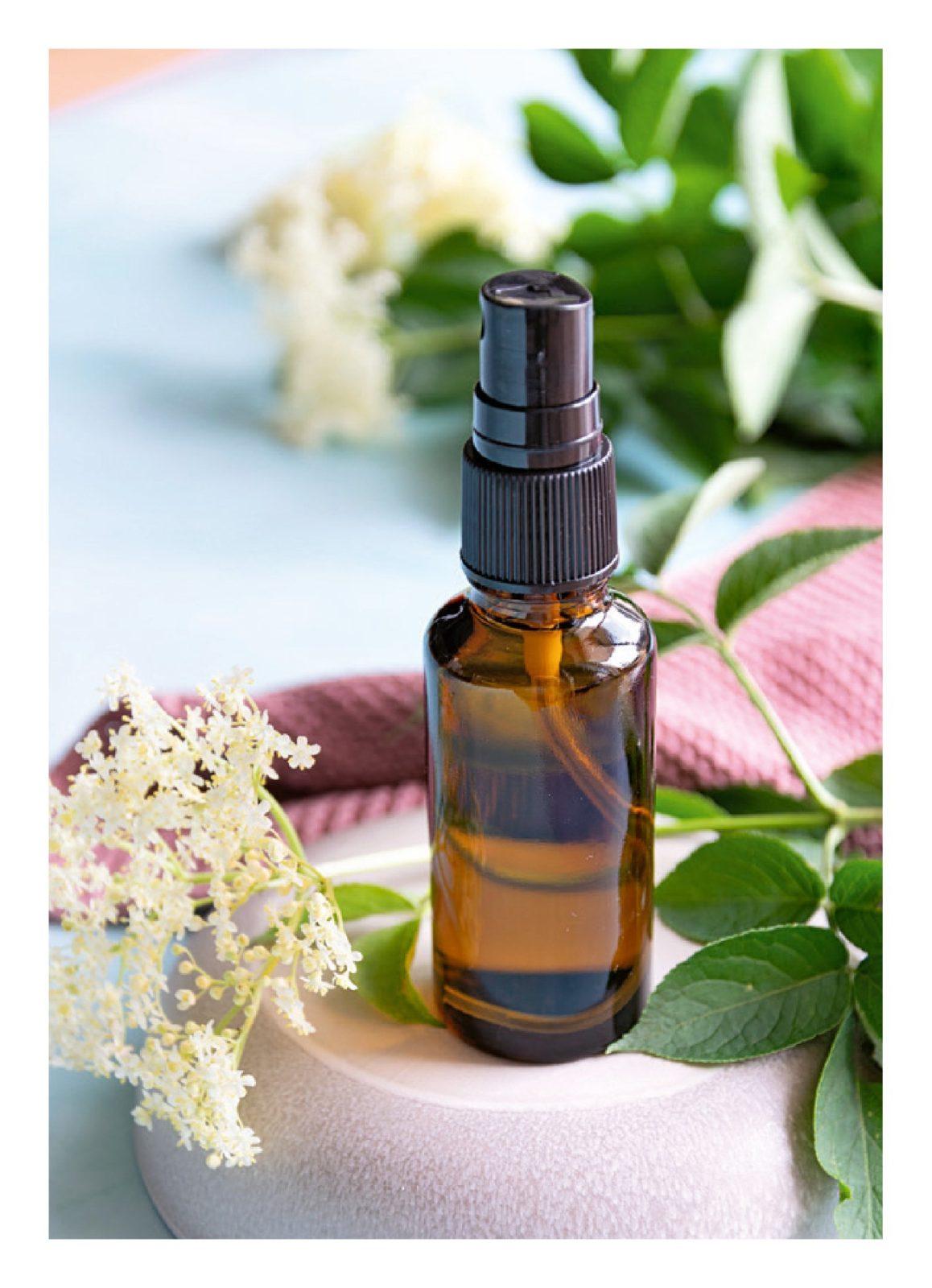 Inside illustration from Natural Cosmetics with Wild Plants by
