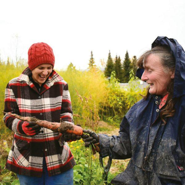 The food garden - Image 4