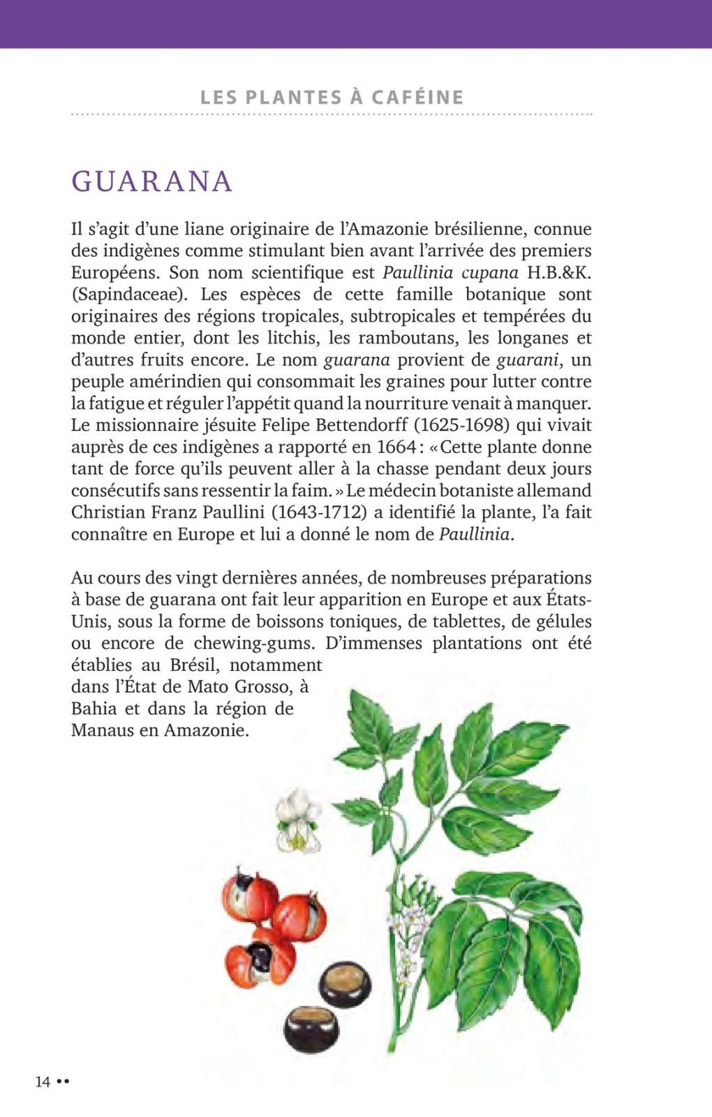 Plants Against Fatigue (Kurt Hostettmann), interior page 3