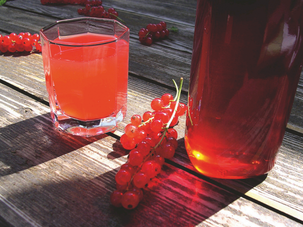 Fruits Juices Syrups & Nectars - Image 2