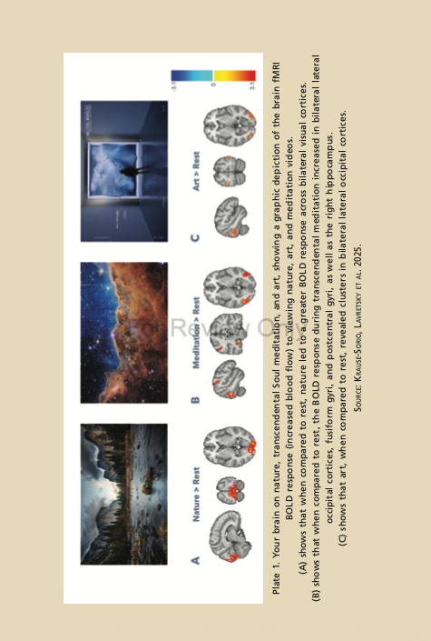 Living From The Soul - Image 2