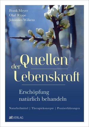 Sources of Vitality by Frank Meyer, Olaf Rippe and Johannes Wilkens, cover
