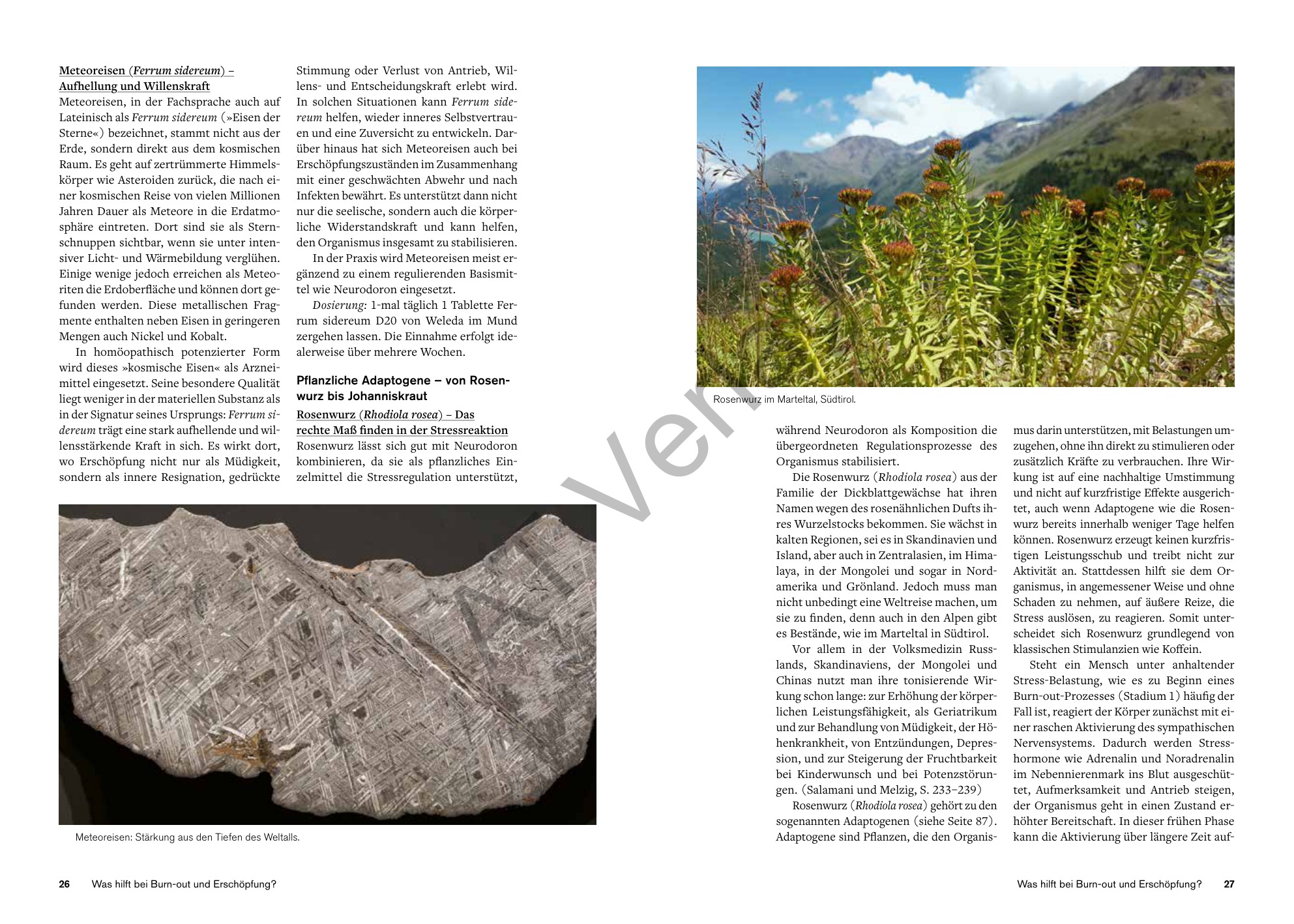 Sources of Vitality - Treating Exhaustion Naturally (Frank Meyer, Olaf Rippe, Johannes Wilkens), interior spread 1